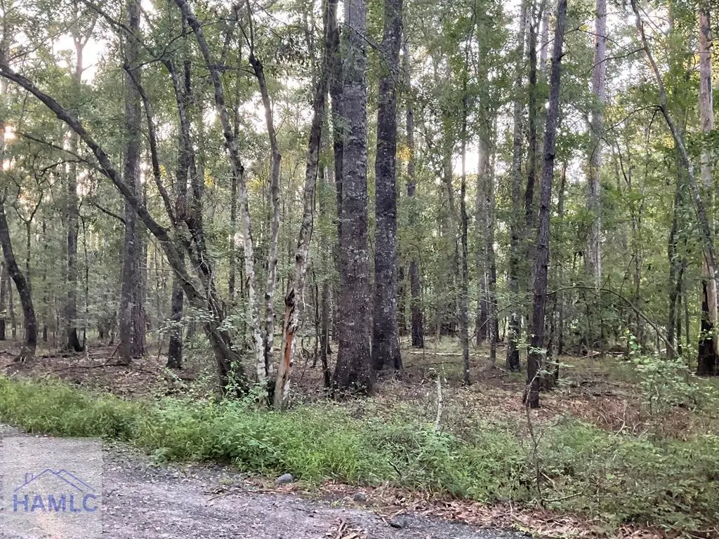 0 Cherry Lane, Fleming, GA 31309 - Image #1