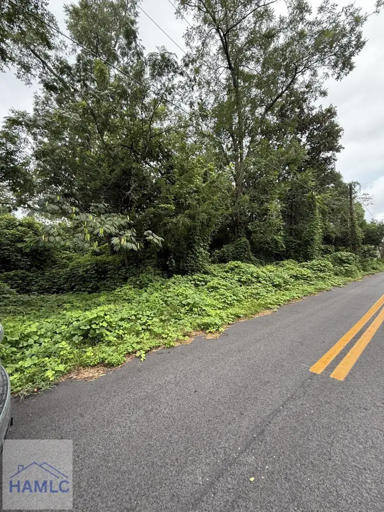 447 NE Broad Street, Jesup, GA 31546 - Image #2