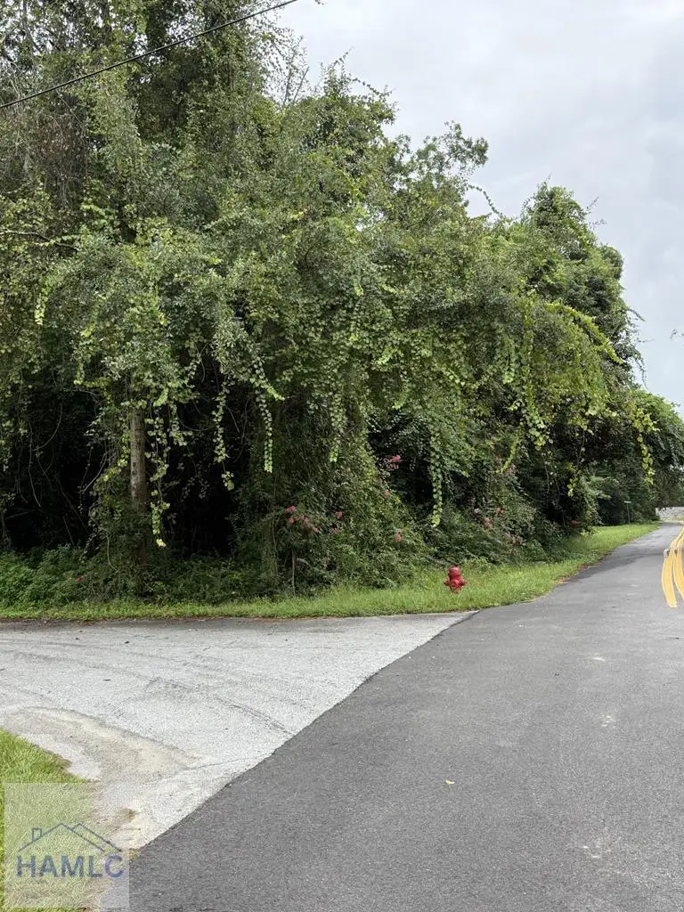 498 NE Broad Street, Jesup, GA 31546 - #2