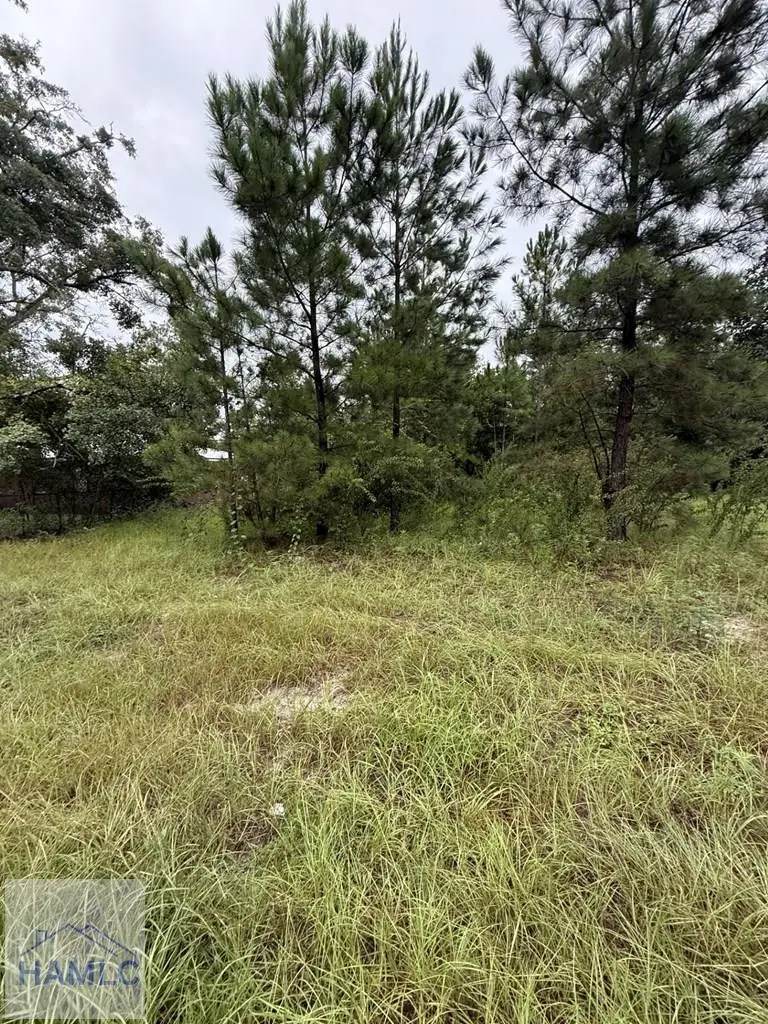 602 Bethlehem Road, Jesup, GA 31546 - Image #2