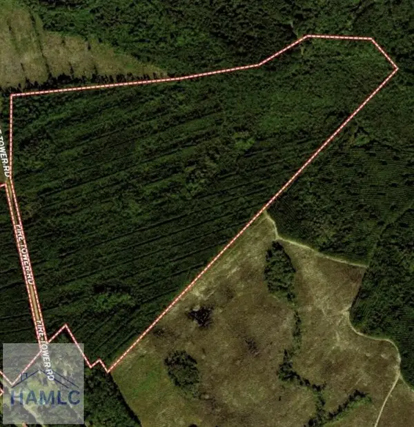 1 Firetower Road, Ludowici, GA 31316