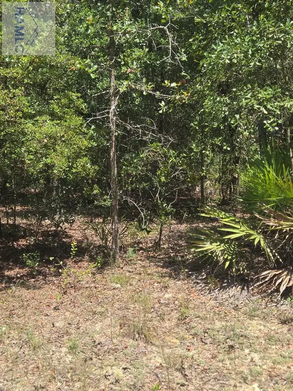 2 Acres Jones Road, Glennville, GA 30427