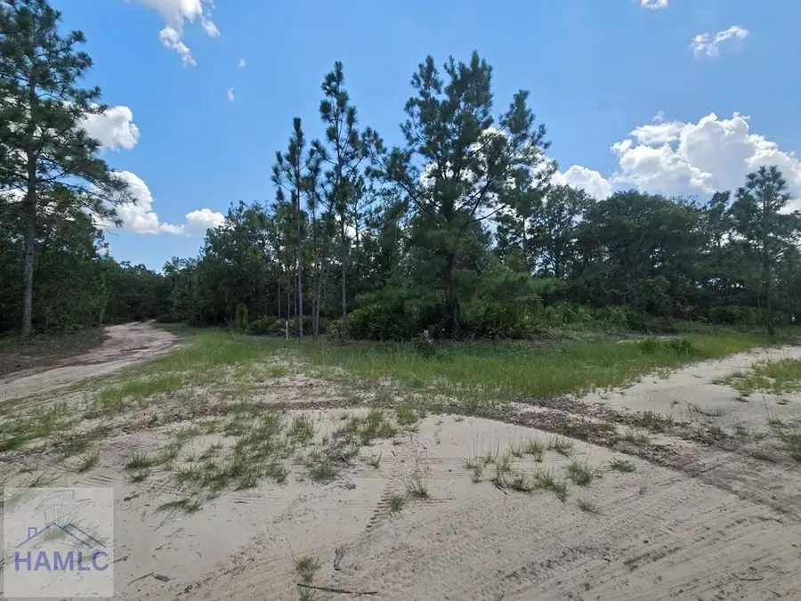 2 Acres Jones Road, Glennville, GA 30427 - Image #2