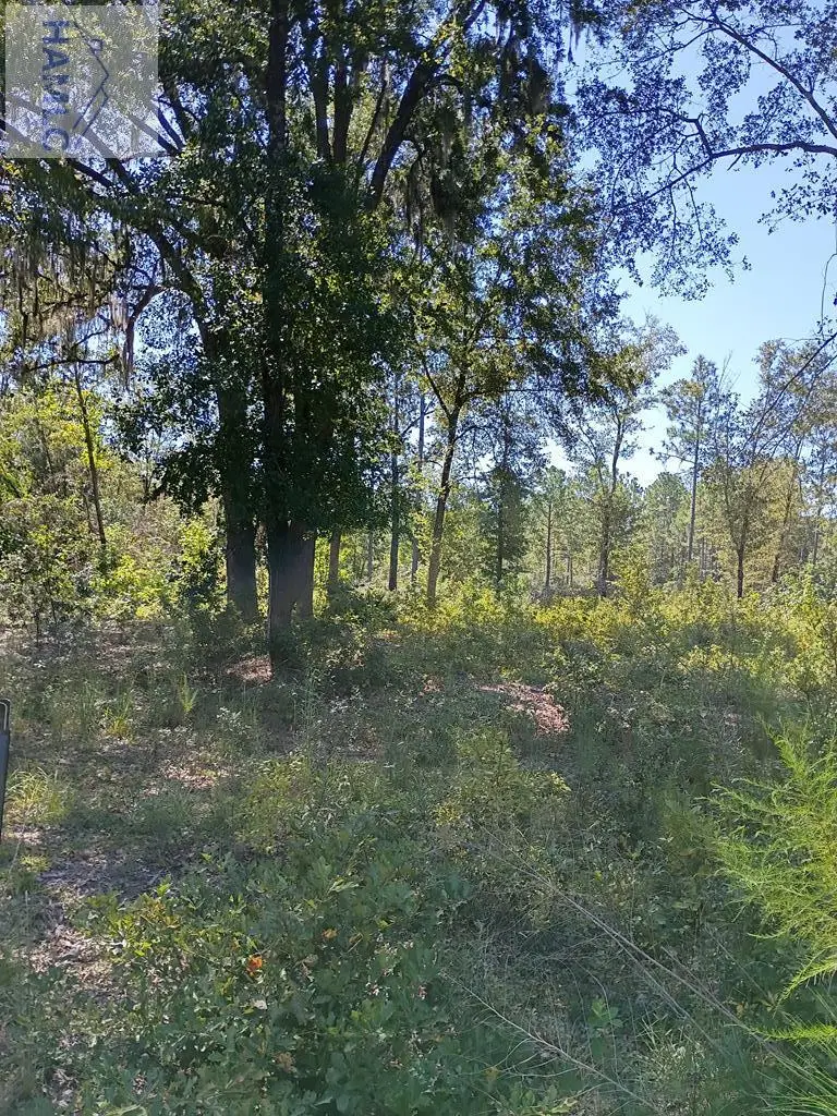 Lot 13 Faithland Drive, Hinesville, GA 31313 - #2