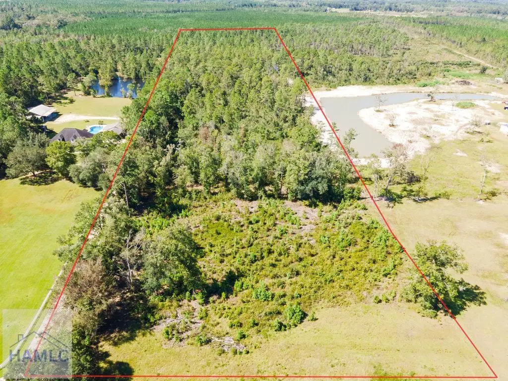 10235 Lanes Bridge Road, Jesup, GA 31545 - #1