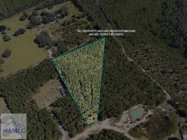 Lot 9 Hillman Drive Se, Ludowici, GA 31316