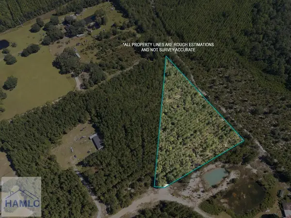 Lot 10 Hillman Drive Se, Ludowici, GA 31316