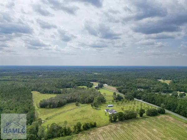 30 Acres Hodges Road, Hinesville, GA 31313