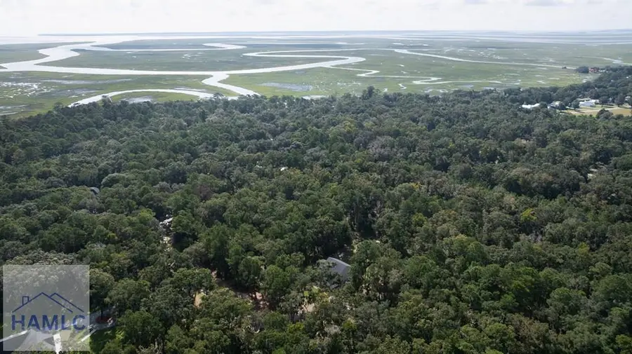 83 Spartina Way, Midway, GA 31320 - #3