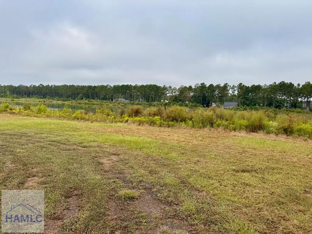 1550 Belfast River Road, Richmond Hill, GA 31324 - Image #1