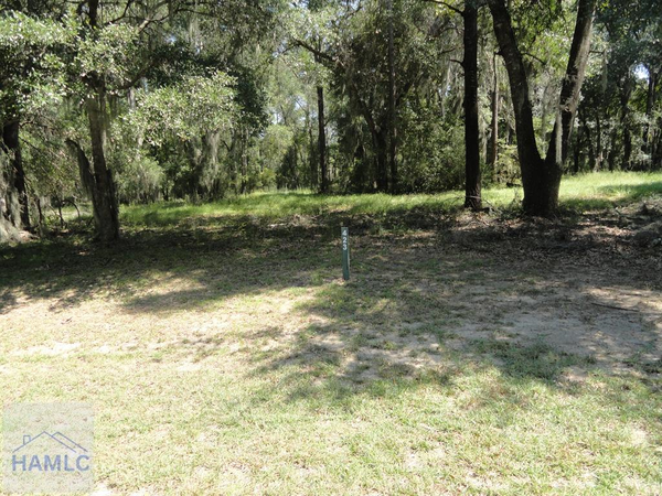 423 Coopers Landing Drive, Townsend, GA 31331