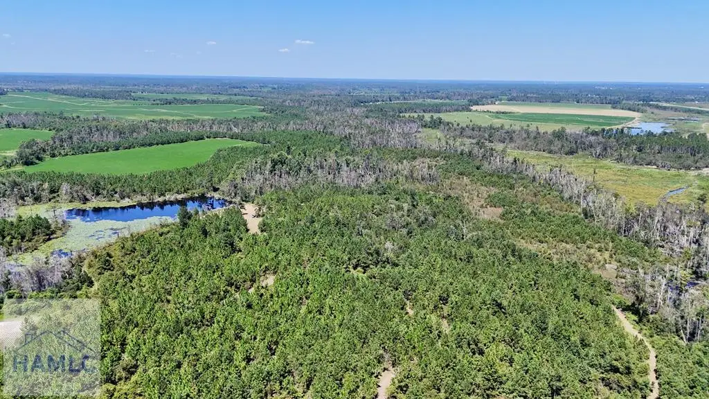 Tract 2 Rhonda Coleman Road, Hazlehurst, GA 31539 - Image #1