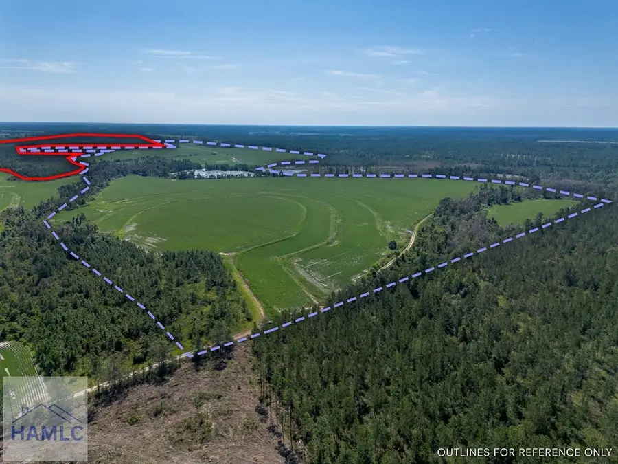 Tract 2 Rhonda Coleman Road, Hazlehurst, GA 31539 - Image #3