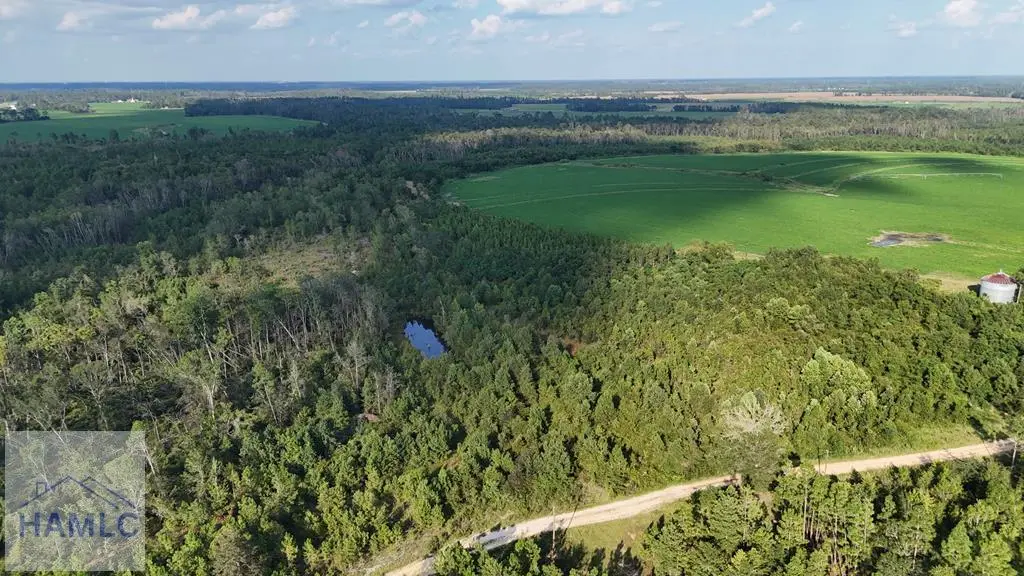 Tract 3 Rhonda Coleman Road, Hazlehurst, GA 31539 - Image #1