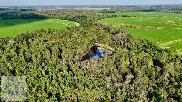 Tract 1 Rhonda Coleman Road, Hazlehurst, GA 31539