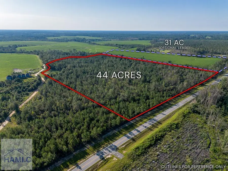 Tract 1 Rhonda Coleman Road, Hazlehurst, GA 31539 - Image #2