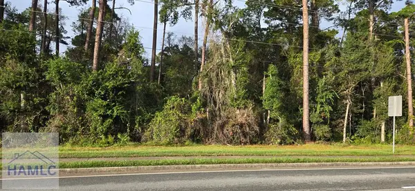 0 General Stewart Way, Hinesville, GA 31313