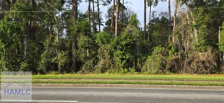 0 General Stewart Way, Hinesville, GA 31313 - #2