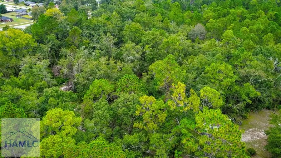 0 & 1 Denise Lane, Walthourville, GA 31333 - Image #3