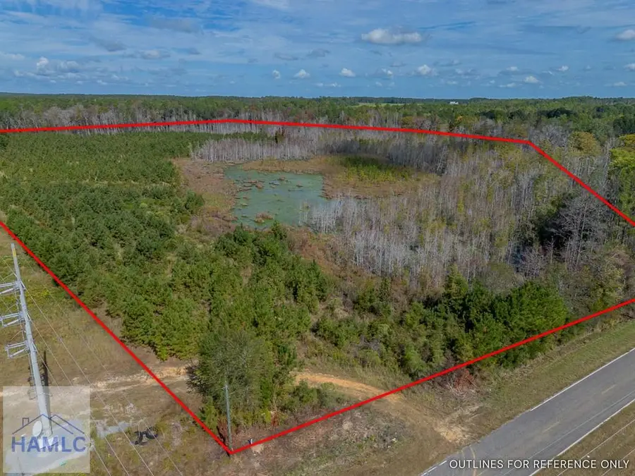 Tract 1 Kinnett Road, Jacksonville, GA 31544 - Image #2