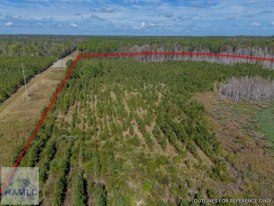 Tract 1 Kinnett Road, Jacksonville, GA 31544 - Image #3