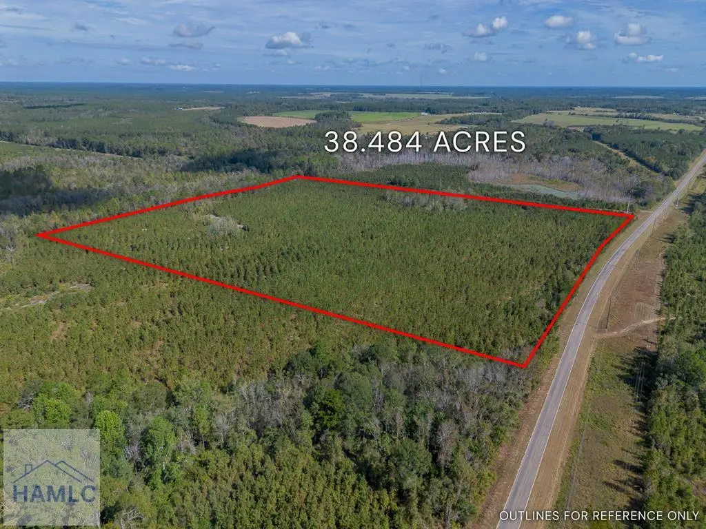 0 Kinnett Road, Jacksonville, GA 31544 - Image #1