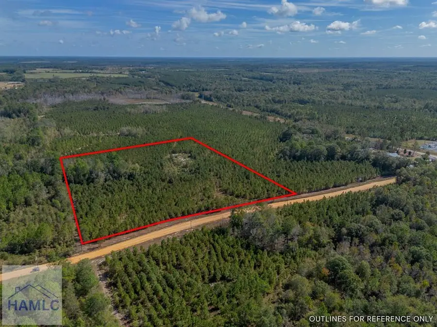 0 United Church Road, Jacksonville, GA 31544 - Image #2