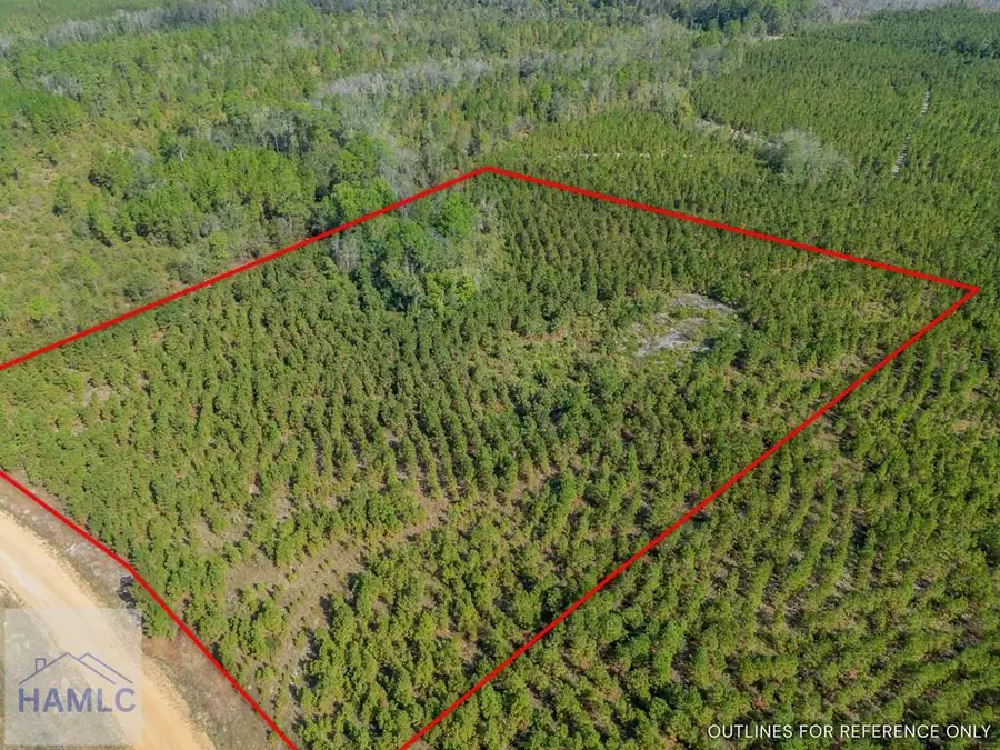 0 United Church Road, Jacksonville, GA 31544 - Image #3