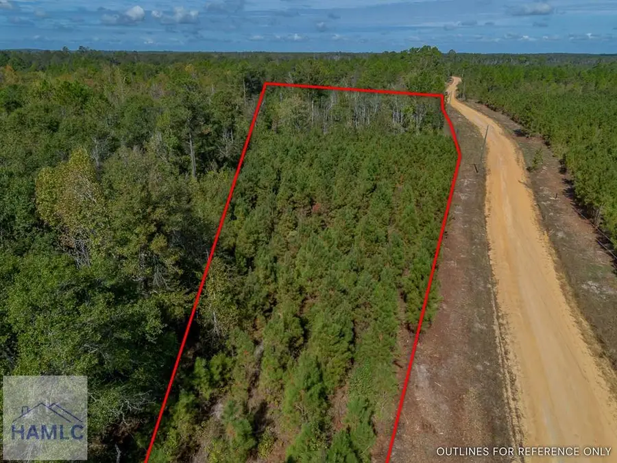 0 United Church Road, Jacksonville, GA 31544 - Image #3