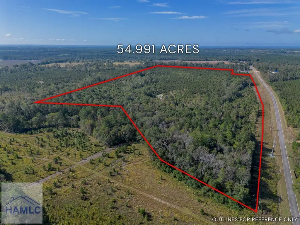 Tract 7 Kinnett Road, Jacksonville, GA 31544 - Image #1