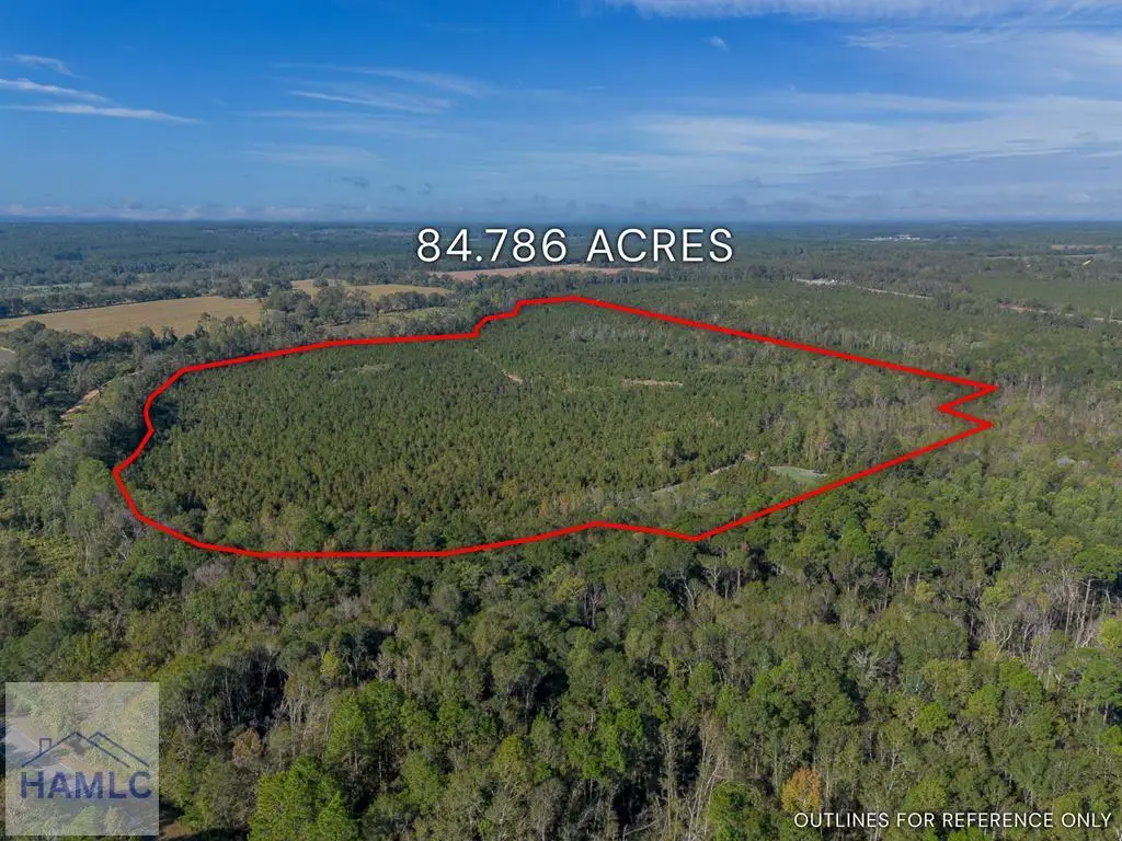 0 United Church Road, Jacksonville, GA 31544 - Image #1