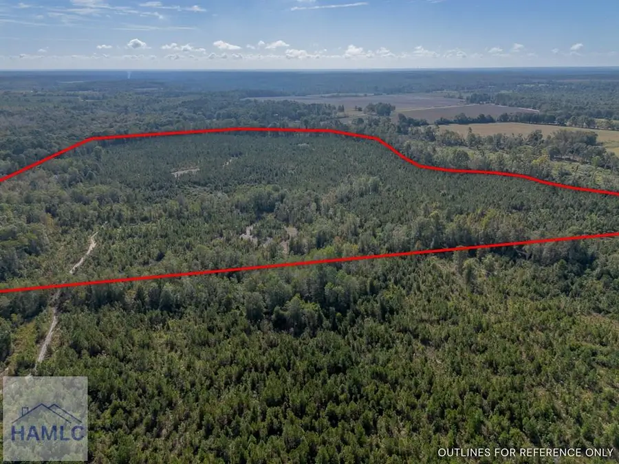 0 United Church Road, Jacksonville, GA 31544 - Image #3