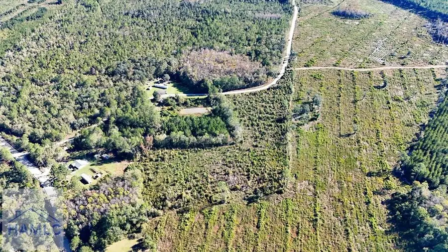 7 Acres Frasier Jackson Circle Ne, Ludowici, GA 31316 - Image #2