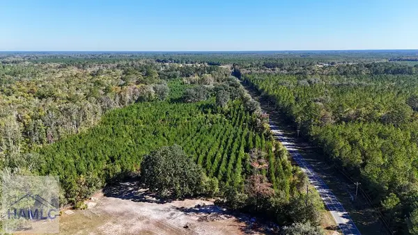 0 Bachlott Church Road, Nahunta, GA 31553