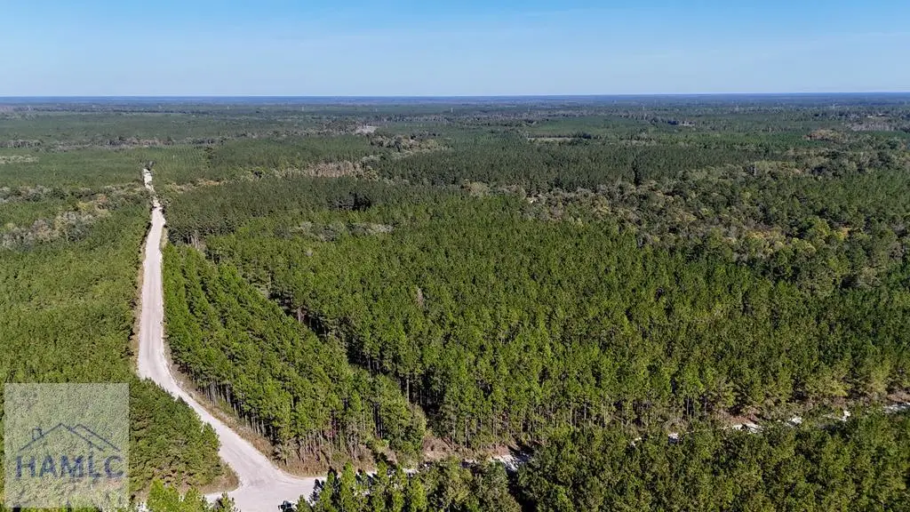 0 Antioch Cemetery Road, Folkston, GA 31537 - #1