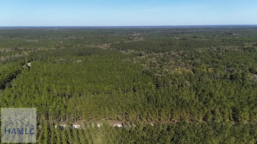 0 Antioch Cemetery Road, Folkston, GA 31537 - #2