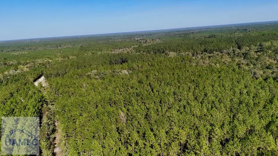 0 Antioch Cemetery Road, Folkston, GA 31537 - #3