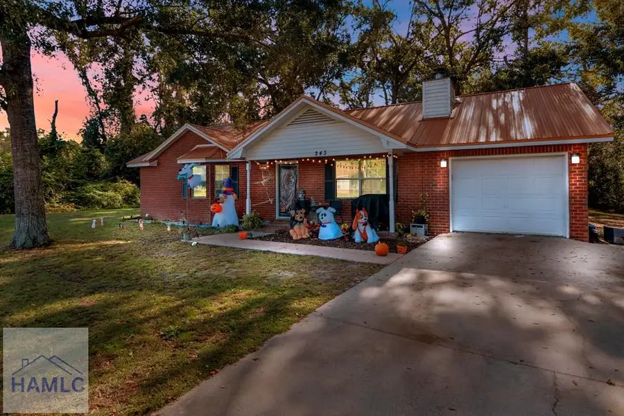 243 Wilkinson Drive, Ludowici, GA 31316 - Image #2