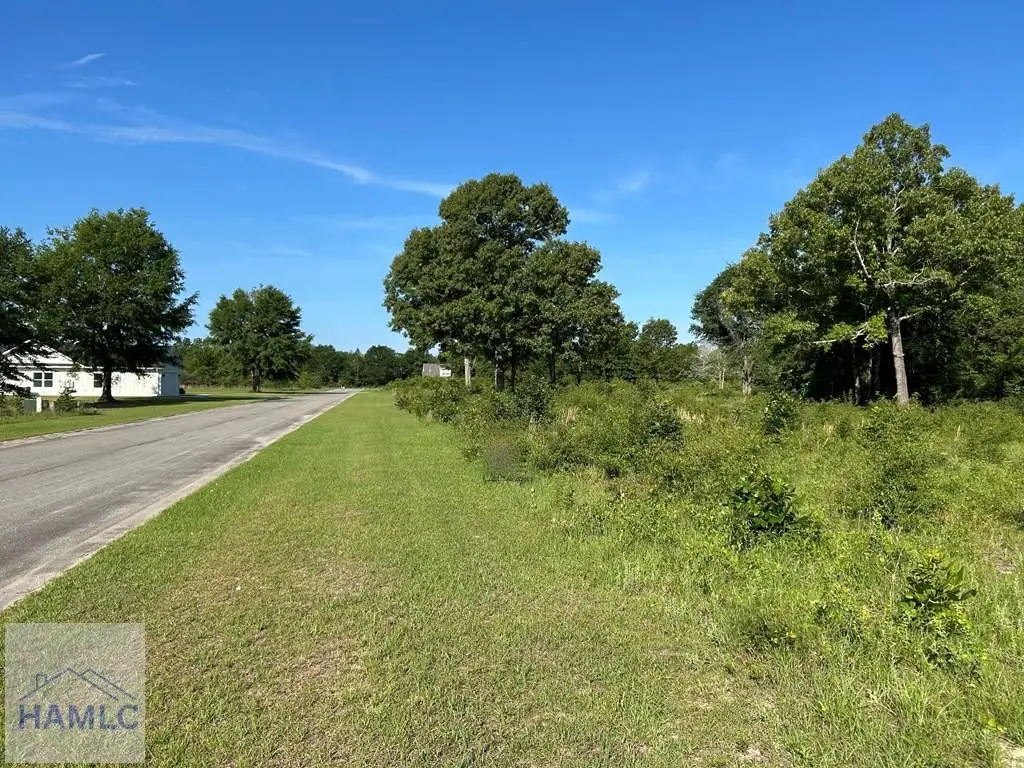 141 Boardwalk Avenue, Jesup, GA 31545 - #1