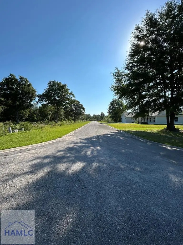 141 Boardwalk Avenue, Jesup, GA 31545 - #2