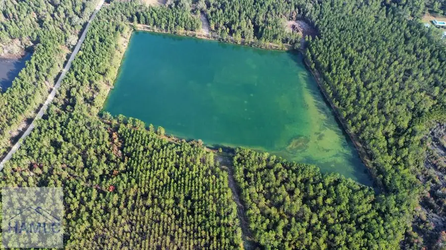 Address Withheld By Seller, Odum, GA 31555 - Image #3