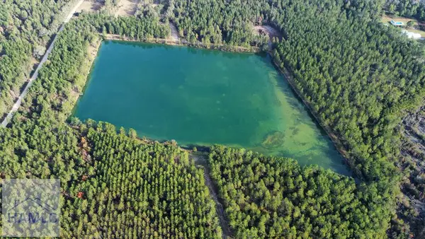 21 AC Hwy 341, Odum, GA 31555