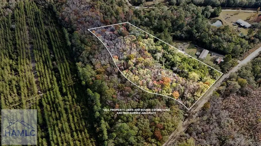 3.86 Smiley Road Ne, Ludowici, GA 31316 - Image #2