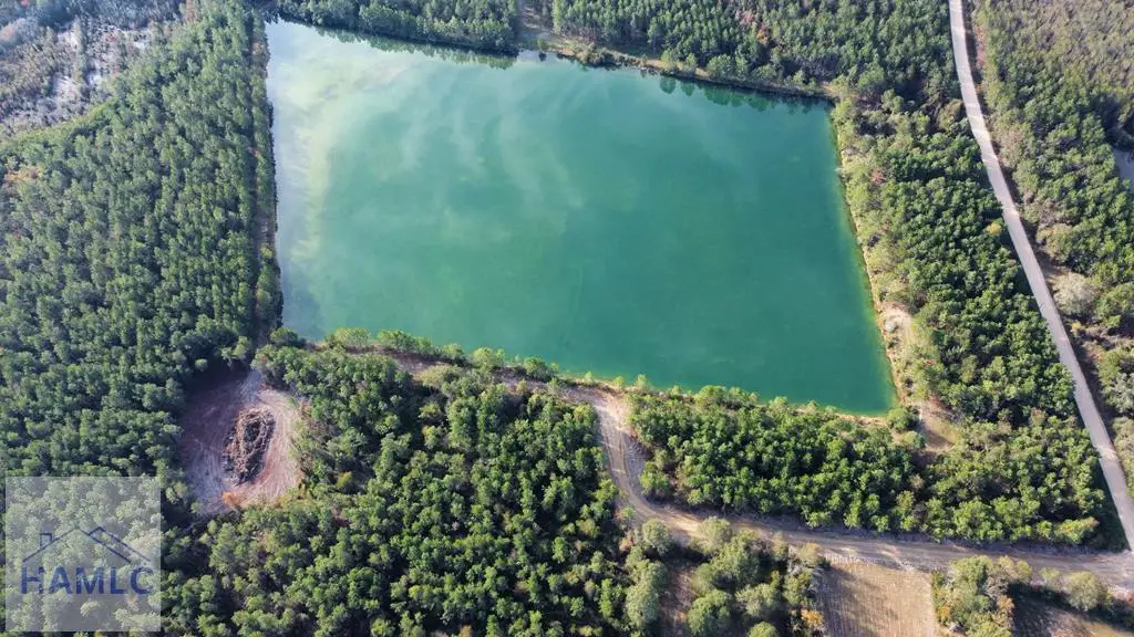 Lot 1 Brentwood Drive, Odum, GA 31555 - #1