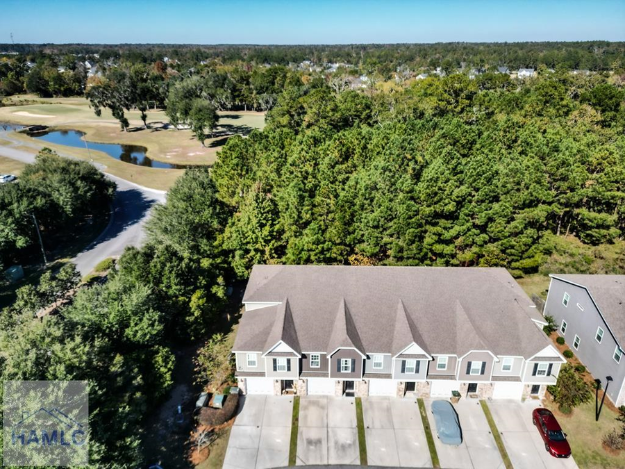 41 Horizon Lane, Richmond Hill, GA 31324 - Image #3