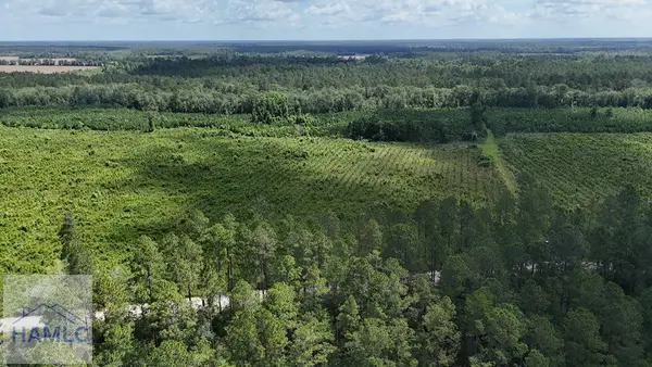 Tract 3 Bennett Mill Pond Road, Odum, GA 31555