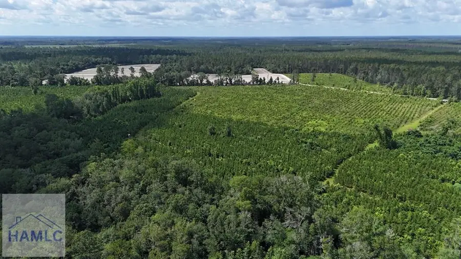 Tract 3 Bennett Mill Pond Road, Odum, GA 31555 - Image #2