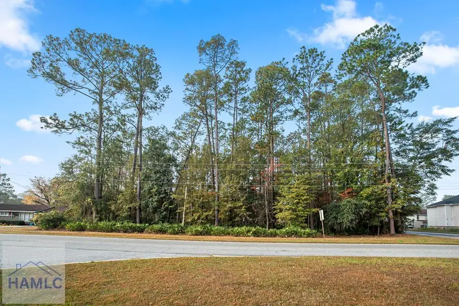 829 Olmstead Drive, Hinesville, GA 31313 - Image #2