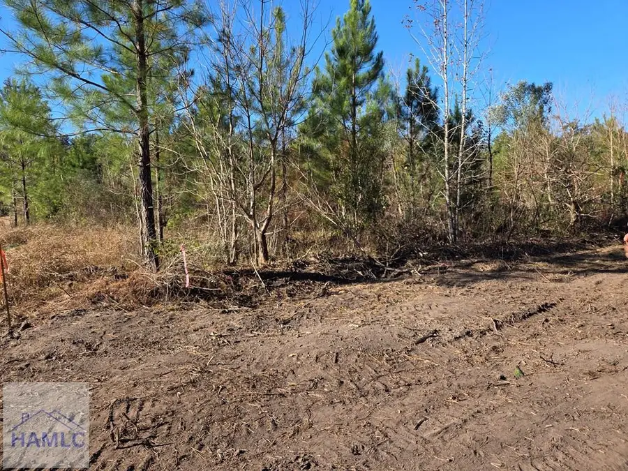 1 Acre East Oglethorpe Highway, Midway, GA 31313 - #2