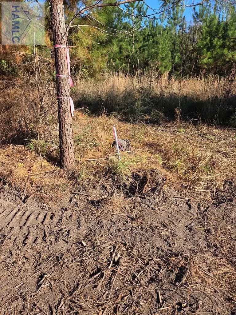 1 Acre East Oglethorpe Highway, Midway, GA 31313 - #3